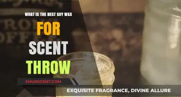 Top Soy Wax Picks for Maximum Scent Throw in Candles