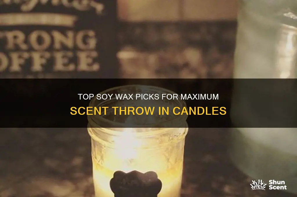what is the best soy wax for scent throw