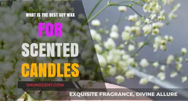 Top Soy Wax Picks for Perfectly Scented Candles: A Guide