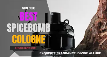 The Ultimate Spicebomb Cologne Guide for Men