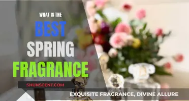 Spring Scents: Finding Your Perfect Fragrance