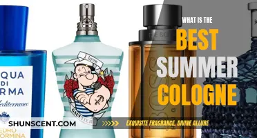 Summer Scents: Choosing the Perfect Seasonal Cologne