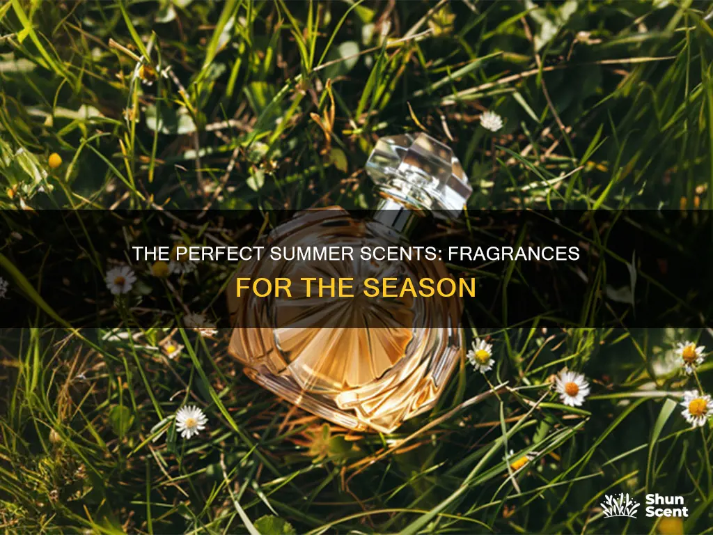 what is the best summer fragrance