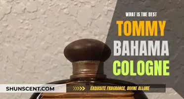 The Best Tommy Bahama Colognes for Men