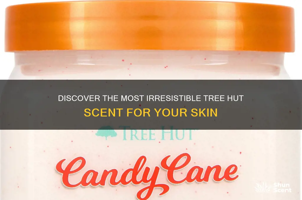 what is the best tree hut scent