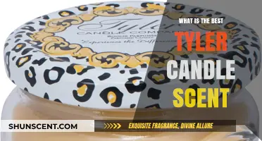 Discover the Most Captivating Tyler Candle Scent for Your Home