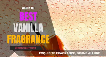 Vanilla Dreams: The Best Vanilla Fragrances to Try
