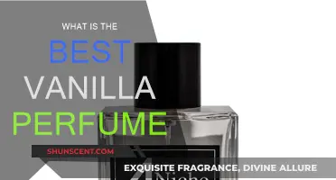 Vanilla Scents: Best Perfumes for You