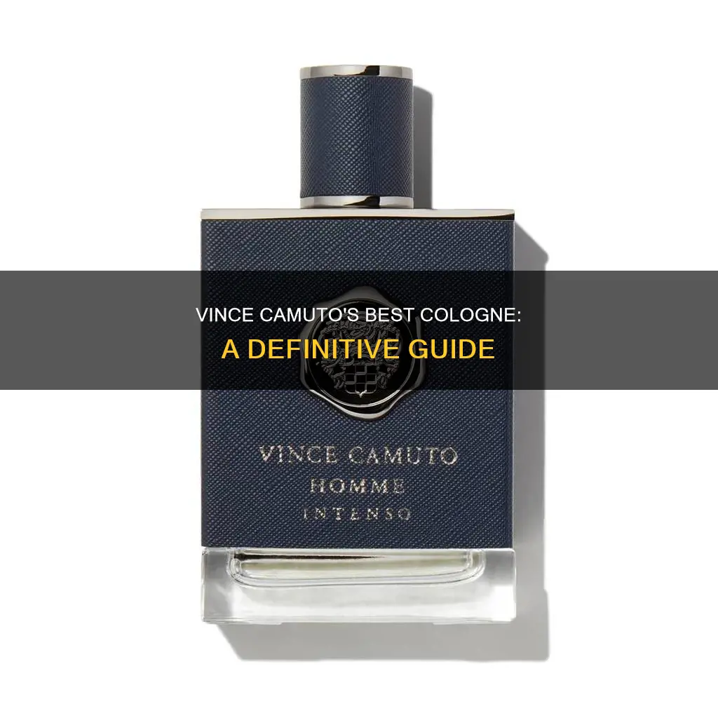 what is the best vince camuto cologne