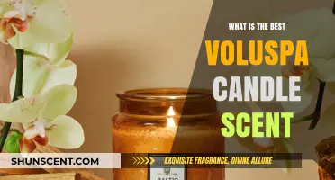Discover the Most Luxurious Voluspa Candle Scents for Your Home