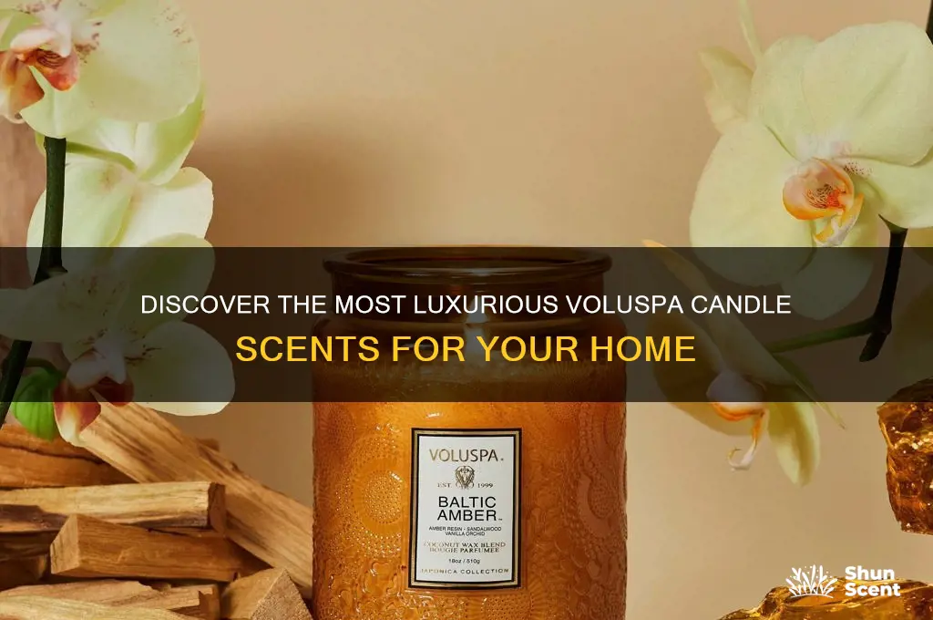 what is the best voluspa candle scent