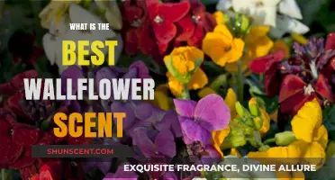 Discover the Perfect Wallflower Scent for Your Home Ambiance