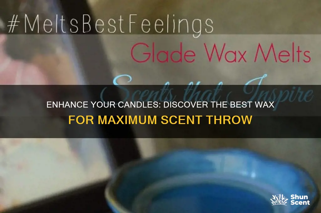 what is the best wax for scent throw