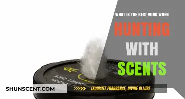 Mastering Scent Hunting: Optimal Wind Conditions for Maximum Success