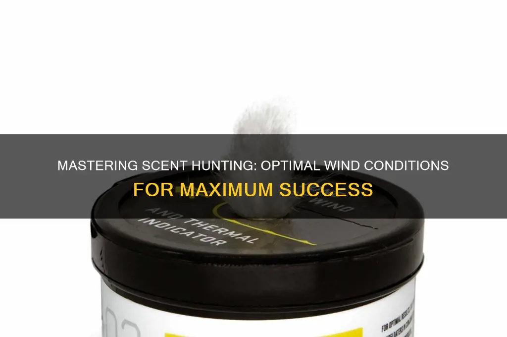 what is the best wind when hunting with scents