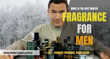 Winter's Best Men's Fragrances: A Sensory Journey