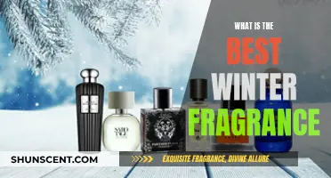 Winter's Best Fragrances: A Guide to Seasonal Scents