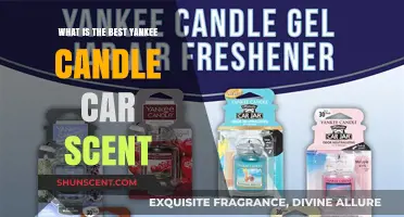 Discover the Best Yankee Candle Car Scent for Fresh Rides