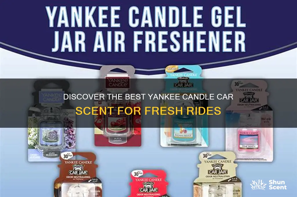 what is the best yankee candle car scent