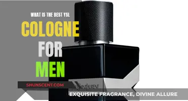 Best YSL Colognes for Men: Our Top Picks