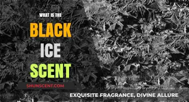 Unveiling the Mystery: Understanding the Black Ice Scent Phenomenon
