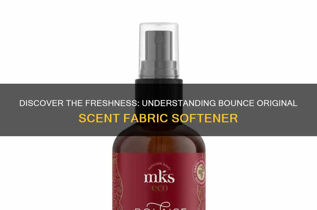 what is the bounce original scent