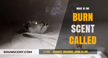 Unveiling the Mystery: What is the Burn Scent Called?