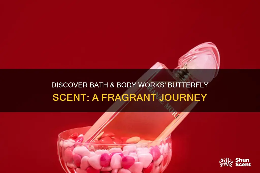 what is the butterfly scent at bath and body works