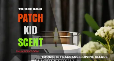 Unveiling the Nostalgic Aroma of Cabbage Patch Kids: What's That Scent?