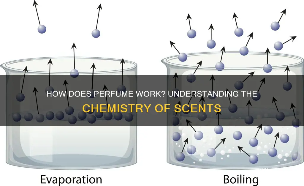 what is the change of matter if perfume is smelled