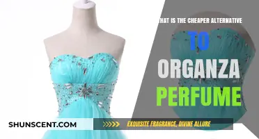 Explore Cheaper Alternatives to Organza Perfume
