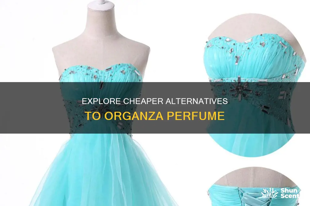 what is the cheaper alternative to organza perfume