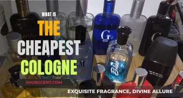 Affordable Scents: Exploring the Cheapest Colognes