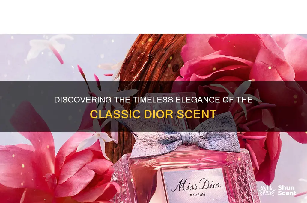 what is the classic dior scent