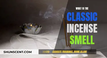 Incense Aromas: Exploring the Classic Scents