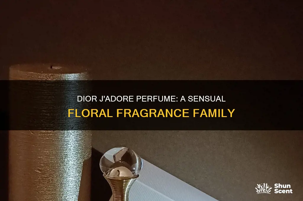 what is the classification of dior jadore perfume