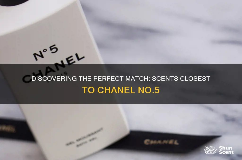 what is the closest scent to chanel no5