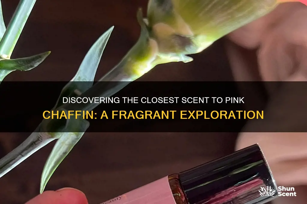 what is the closest scent to pink chaffin