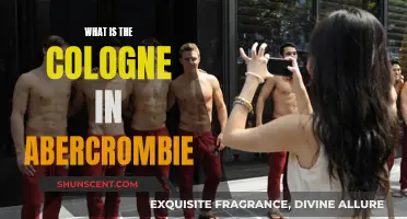 Abercrombie's Signature Scents: Cologne with a Cult Following