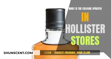 Hollister's Signature Scent: What's in the Bottle?