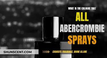 Abercrombie's Signature Scent: What's in the Spray?