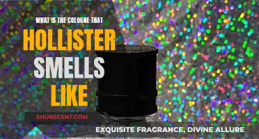 Hollister's Cologne: What's the Scent's Secret?