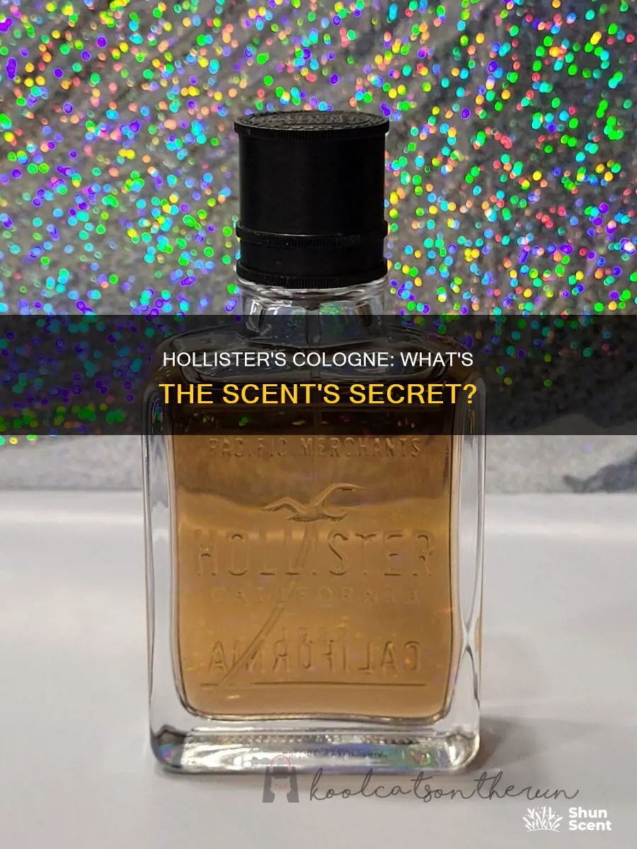 what is the cologne that hollister smells like