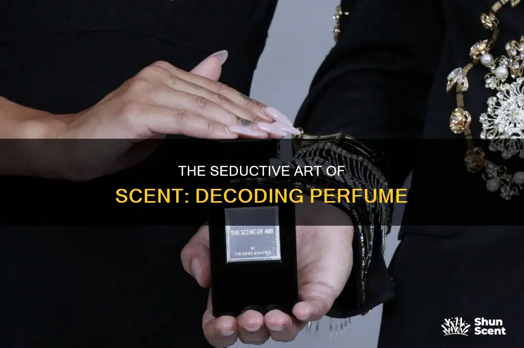what is the concept of the movie perfume