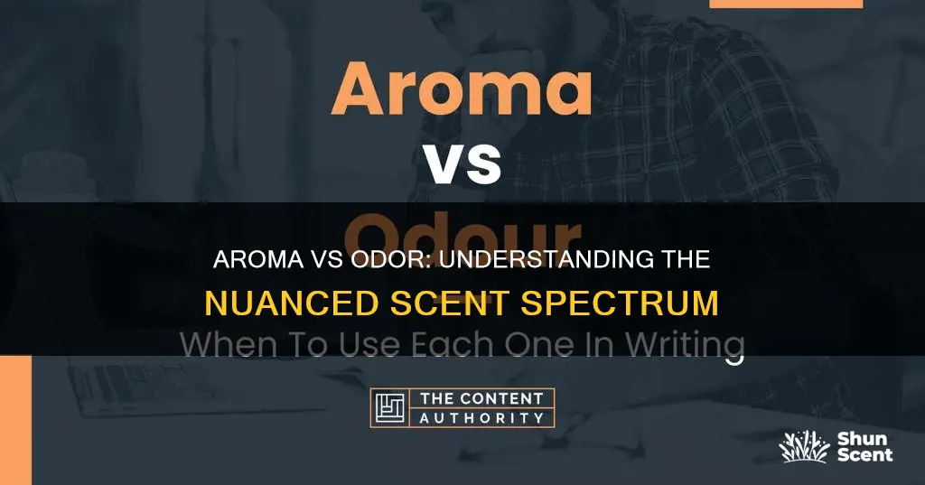 what is the conotation difference in aroma and odder