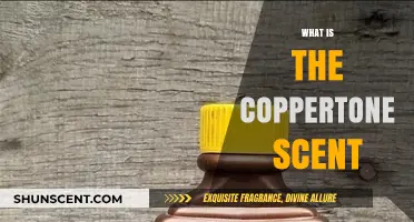 Unveiling the Iconic Coppertone Scent: A Nostalgic Summer Fragrance
