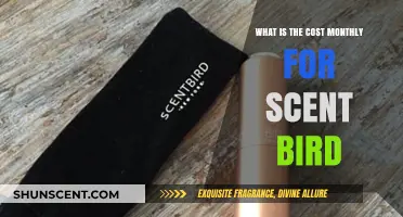 Monthly Cost of Scentbird: Affordable Fragrance Subscription Breakdown