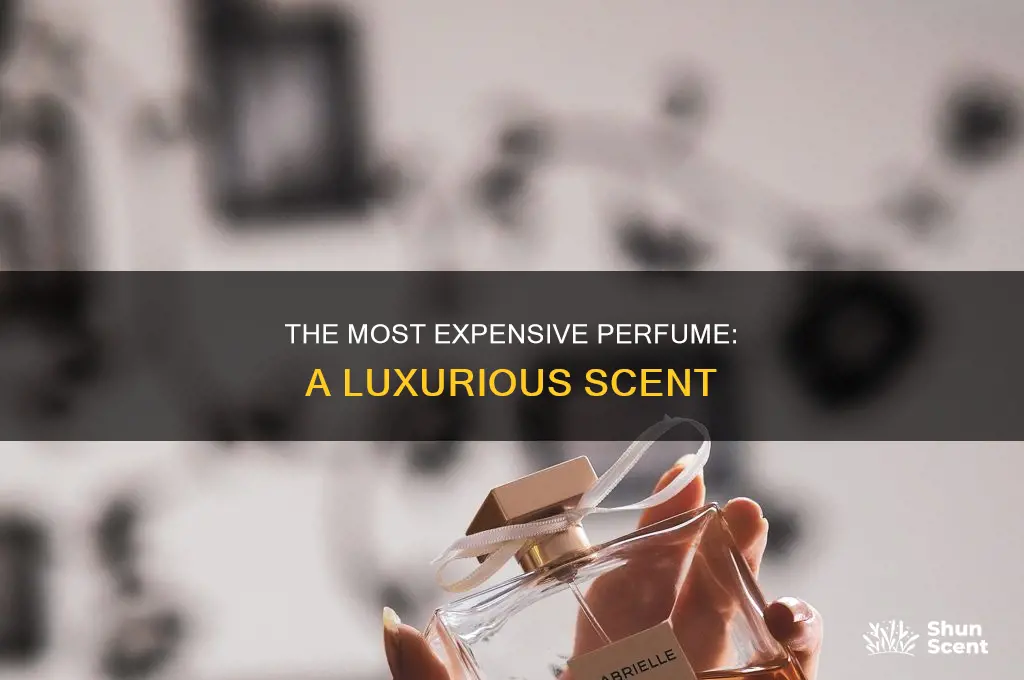 what is the costliest perfume in the world