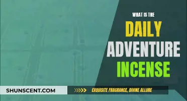 Daily Adventure Incense: A New Adventure Every Day