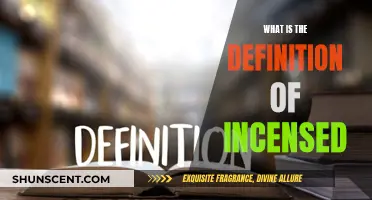 Incensed: Understanding the True Meaning of This Word
